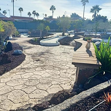 Bungalow En El Sur De Gran Canaria Las Palmas de Gran Canaria Ngoại thất bức ảnh